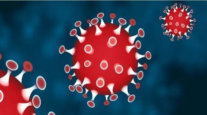 शोधकर्ता का दावा- संक्रमण के लिए चीन ने बनाया था कोरोना वायरस