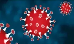 शोधकर्ता का दावा- संक्रमण के लिए चीन ने बनाया था कोरोना वायरस शोधकर्ता का दावा- संक्रमण के लिए चीन ने बनाया था कोरोना वायरस