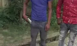 पति के दिल्ली नही जाने से नाराज पत्नी ने किया ऐसा काम- मच गया कोहराम पति के दिल्ली नही जाने से नाराज पत्नी ने किया ऐसा काम- मच गया कोहराम