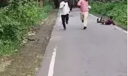 सेल्फी लेने से नाराज हाथियों के झुंड ने युवकों को दौड़ाया- ऐसे बची जान