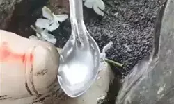 चम्मच से पानी पी रहे हैं नंदी? भगवान को पानी पिलाने जुटी भारी भीड़