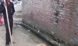 भाई को काटा तो डंडे से मार मारकर निकाल दिया स्ट्रीट डॉग का दम