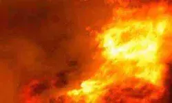 वैन में आग लगने से 7 लोगों की मौत, 14 घायल- मचा हड़कंप