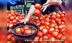 दिनदहाड़े महिला से लूट- दुकानदार से लूट कर ले गए टमाटर दिनदहाड़े महिला से लूट- दुकानदार से लूट कर ले गए टमाटर