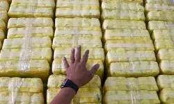 ऑपरेशन ध्वस्त कामयाब 950kg नशा बरामद, 2.13 करोड़ की सम्पत्ति फ्रीज..