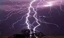 आकाशीय बिजली की चपेट में आकर 20 भेड़ों की मौत आकाशीय बिजली की चपेट में आकर 20 भेड़ों की मौत