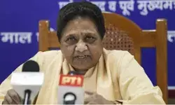 दिल्ली अध्यादेश पर मायावती ऐसे झटका देगी केजरीवाल को दिल्ली अध्यादेश पर मायावती ऐसे झटका देगी केजरीवाल को