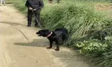 बदमाशों का तांडव-घंटे भर में लूट लिए 4 गांव- जो भी मिला उसे लूटते.. बदमाशों का तांडव-घंटे भर में लूट लिए 4 गांव- जो भी मिला उसे लूटते..