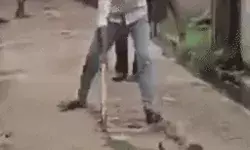 लाठी से पीट पीटकर बंदर के बच्चे की हत्या- रिजवान को तलाश रही..