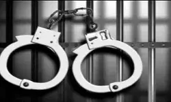 प्रोफेसर ने फ्लाइट में बगल में बैठी महिला डॉक्टर से की छेड़छाड़