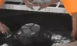 ज्ञानवापी का होगा ASI सर्वे- मुस्लिम पक्ष की याचिका खारिज- सर्वे शुरू. ज्ञानवापी का होगा ASI सर्वे- मुस्लिम पक्ष की याचिका खारिज- सर्वे शुरू.