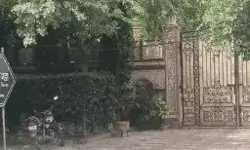 MLA गोपाल कांडा के घर रेड- घर दफ्तर के रिकॉर्ड में ED खंगाल रही कांड MLA गोपाल कांडा के घर रेड- घर दफ्तर के रिकॉर्ड में ED खंगाल रही कांड