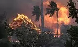 जंगलों में लगी भीषण आग से अब तक 53 लोगों की हुई मौत जंगलों में लगी भीषण आग से अब तक 53 लोगों की हुई मौत