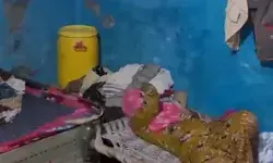 6 कांवडियो की मौत के महीने भर बाद पांच लोगों को घायल कर गया करंट 6 कांवडियो की मौत के महीने भर बाद पांच लोगों को घायल कर गया करंट