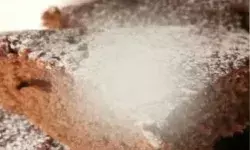 जन्मदिन का केक ले गया बालक की जान- परिवार में मचा है कोहराम जन्मदिन का केक ले गया बालक की जान- परिवार में मचा है कोहराम