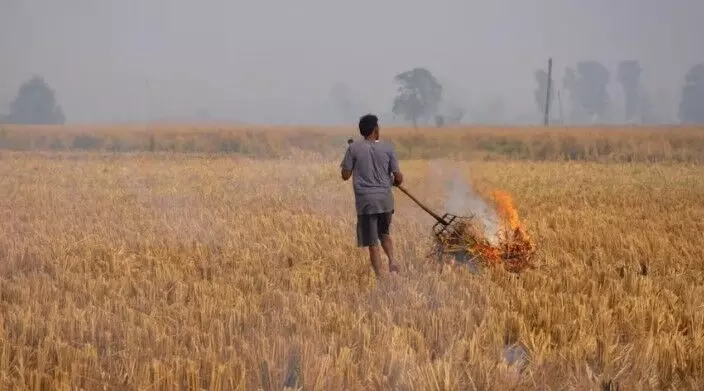 पराली जलाना पड़ेगा भारी- किसानों पर भारी भरकम जमाने की तैयारी पराली जलाना पड़ेगा भारी- किसानों पर भारी भरकम जमाने की तैयारी