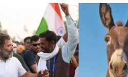 MLA की मंशा- विधायक को गधे पर बिठाकर निकाला जाए जुलूस