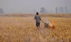 पराली जलाना पड़ेगा भारी- किसानों पर भारी भरकम जमाने की तैयारी पराली जलाना पड़ेगा भारी- किसानों पर भारी भरकम जमाने की तैयारी