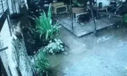 सब रजिस्ट्रार दफ्तर से लाखों रुपए की नगदी से भरी तिजोरी चोरी