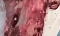 पब्लिक की नम आंखों के साथ फूलों की बारिश के बीच DM की विदाई पब्लिक की नम आंखों के साथ फूलों की बारिश के बीच DM की विदाई