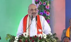 शाह ने कमलनाथ सरकार पर तंज कस्ते हुए शिवराज को सराहा