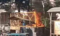 तेज धमाके के साथ टूटे तार से लोगों में दहशत- आग ने मचाया... तेज धमाके के साथ टूटे तार से लोगों में दहशत- आग ने मचाया...