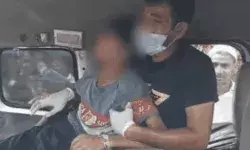 कुत्ता पालने वाले परिवार पर हुआ मुकदमा- बच्चे की मौत से..