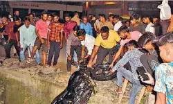 नशे में टल्ली डॉक्टरों का बवाल- फाडी पुलिस की वर्दी- महिला पुलिसकर्मी.. नशे में टल्ली डॉक्टरों का बवाल- फाडी पुलिस की वर्दी- महिला पुलिसकर्मी..