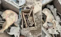 पुश्तैनी मकान तोड़ते वक्त मिला लकड़ी का बक्सा- भीतर सामान देख उड़े होश