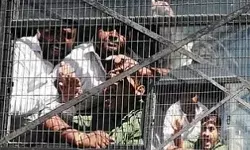 मिहिर भोज यात्रा को लेकर विवाद- अतुल प्रधान समेत कई हिरासत में मिहिर भोज यात्रा को लेकर विवाद- अतुल प्रधान समेत कई हिरासत में