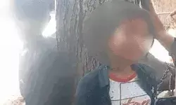 कमरे में बंद मिले प्रेमी प्रेमिका पेड़ से बांधे- बेरहमी से बरसाए थप्पड़ कमरे में बंद मिले प्रेमी प्रेमिका पेड़ से बांधे- बेरहमी से बरसाए थप्पड़