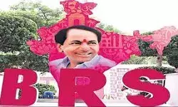 BRS ने भाजपा सांसद रमेश की टिप्पणी की निंदा की