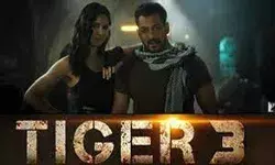 टाइगर 3 का मैसेज वीडियो रिलीज