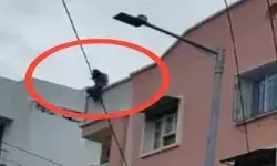 चौथी मंजिल से कूदी छात्रा को नीचे खड़े लड़के ने किया कैच- फिर भी... चौथी मंजिल से कूदी छात्रा को नीचे खड़े लड़के ने किया कैच- फिर भी...