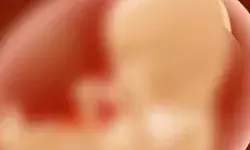 कुत्ते का मरा पिल्ला बताकर सौ रुपए में बच्चे से फिंकवाया भ्रूण