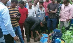 डिप्टी सीएम के काफिले की गाड़ी ने मारी टक्कर -महिला गंभीर