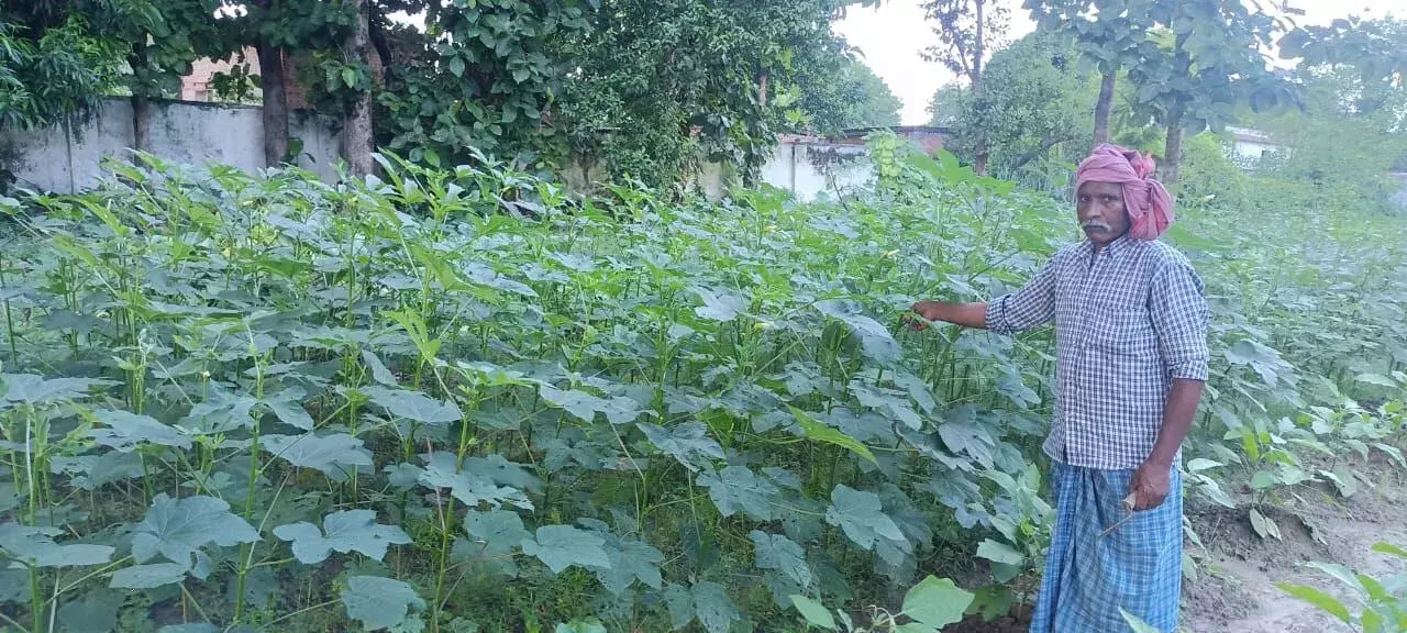 पोषण वाटिका के कार्यों में यूपी की ‘नारी शक्ति’ को मनरेगा का ‘वंदन’ पोषण वाटिका के कार्यों में यूपी की ‘नारी शक्ति’ को मनरेगा का ‘वंदन’