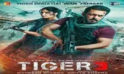 टाइगर 3 का नया पोस्टर रिलीज