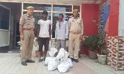कई घटनाओं का खुलासा- पुलिस ने चोरी के माल सहित धर दबोचे दो आरोपी कई घटनाओं का खुलासा- पुलिस ने चोरी के माल सहित धर दबोचे दो आरोपी