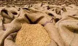 कार्ड धारक रहे तैयार- मिलेगा मुफ्त राशन- इस तारीख तक बंटेगा खाद्यान्न कार्ड धारक रहे तैयार- मिलेगा मुफ्त राशन- इस तारीख तक बंटेगा खाद्यान्न