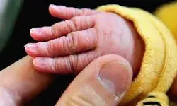 कैसे मां-बाप, नवजात बच्ची को जंगल में दिया फेंक- बुजुर्ग की सूचना पर... कैसे मां-बाप, नवजात बच्ची को जंगल में दिया फेंक- बुजुर्ग की सूचना पर...