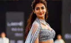 शाहिद कपूर के साथ एक्शन थ्रिलर फिल्म में काम करेंगी पूजा हेगड़े शाहिद कपूर के साथ एक्शन थ्रिलर फिल्म में काम करेंगी पूजा हेगड़े