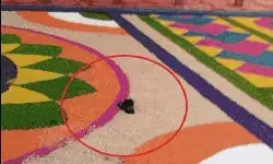 अमित शाह के मंच की ओर फेंका जूता- बोला दिव्यांग मेरी पेंशन काटी