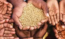 मुफ्त राशन को लेकर प्रधानमंत्री ने कर दिया बड़ा ऐलान- बोले मुफ्त राशन को लेकर प्रधानमंत्री ने कर दिया बड़ा ऐलान- बोले