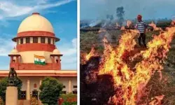 प्रदूषण को लेकर 5 राज्यों पर बरसा SC-जली पराली तो SHO होंगे जिम्मेदार प्रदूषण को लेकर 5 राज्यों पर बरसा SC-जली पराली तो SHO होंगे जिम्मेदार