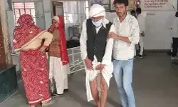 जर्मन शेफर्ड का मालिक पर अटैक- चबा गया इस्लाम का प्राइवेट पार्ट जर्मन शेफर्ड का मालिक पर अटैक- चबा गया इस्लाम का प्राइवेट पार्ट