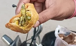 लो जी खाने के शौकीनों के लिए अब पेश है छिपकली समोसा लो जी खाने के शौकीनों के लिए अब पेश है छिपकली समोसा