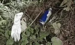 शॉपिंग करके लौट रही लड़की पर एसिड अटैक- 23 दिन बाद थी शादी शॉपिंग करके लौट रही लड़की पर एसिड अटैक- 23 दिन बाद थी शादी