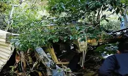 500 मीटर गहरी खाई में गिरी टैक्सी- 9 लोगों की मौत- दो गंभीर 500 मीटर गहरी खाई में गिरी टैक्सी- 9 लोगों की मौत- दो गंभीर