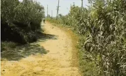 लड़की पर एसिड अटैक करने वालों से पुलिस की मुठभेड़- दो को लगी गोली लड़की पर एसिड अटैक करने वालों से पुलिस की मुठभेड़- दो को लगी गोली